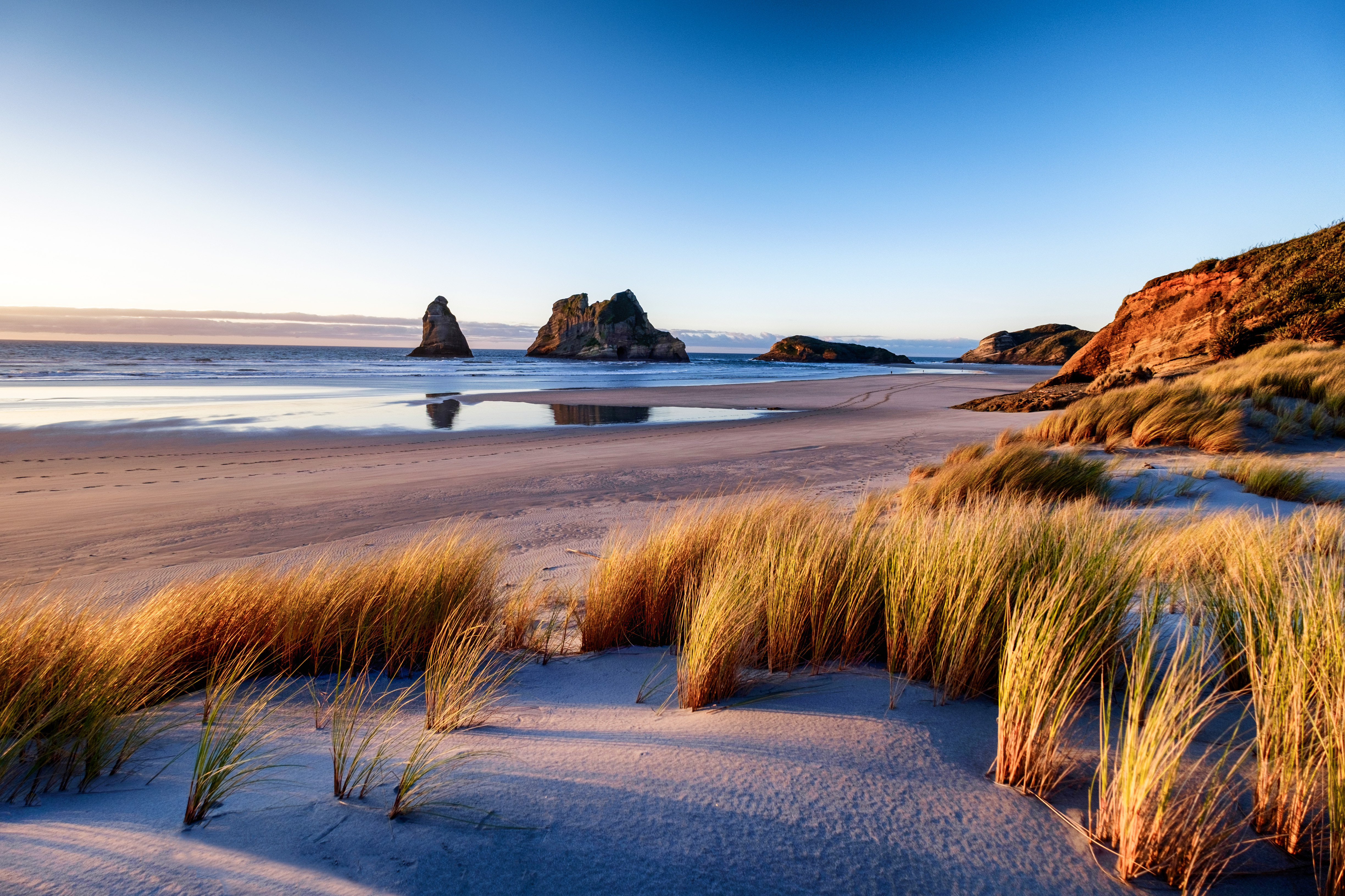 Beach in New Zealand