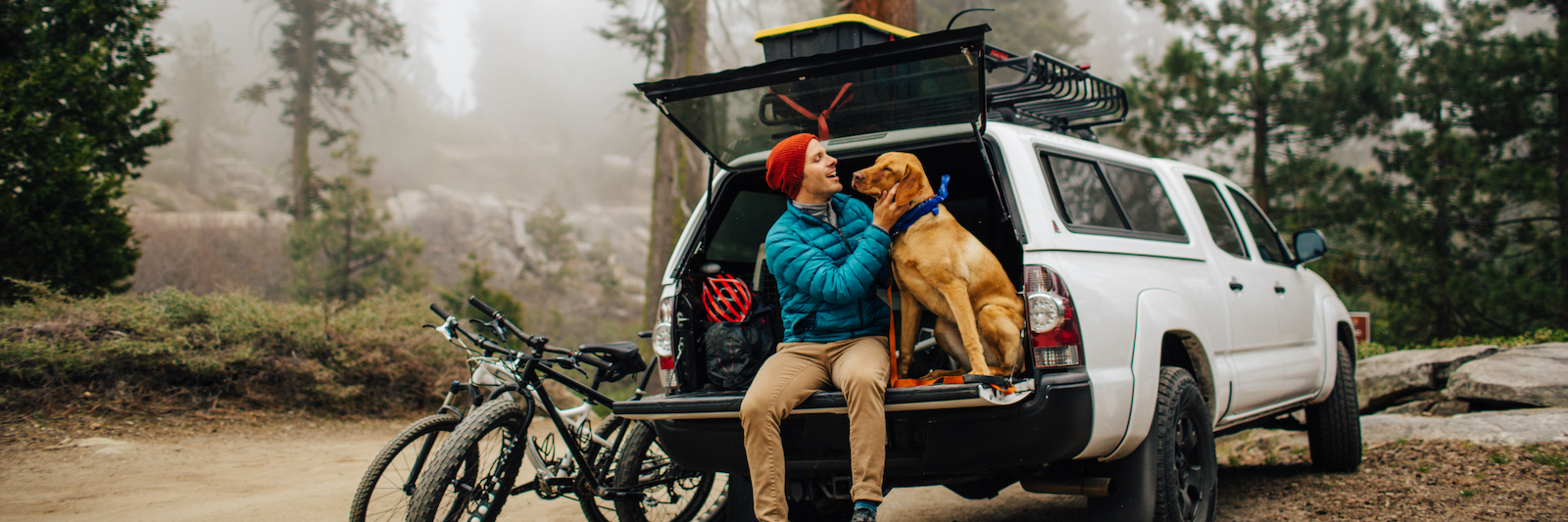 Man and dog in a car