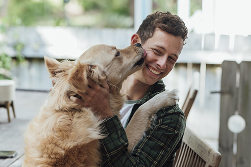 Man and dog having fun