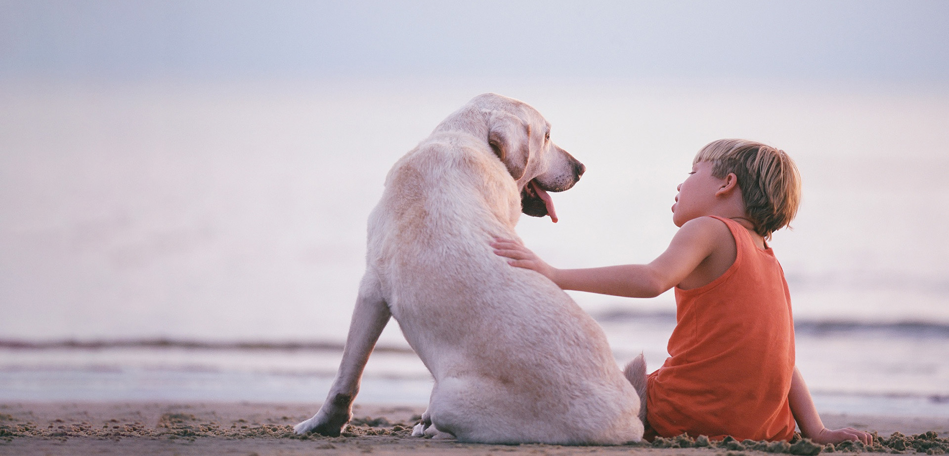 Australia's leading air freight carrier Qantas Freight