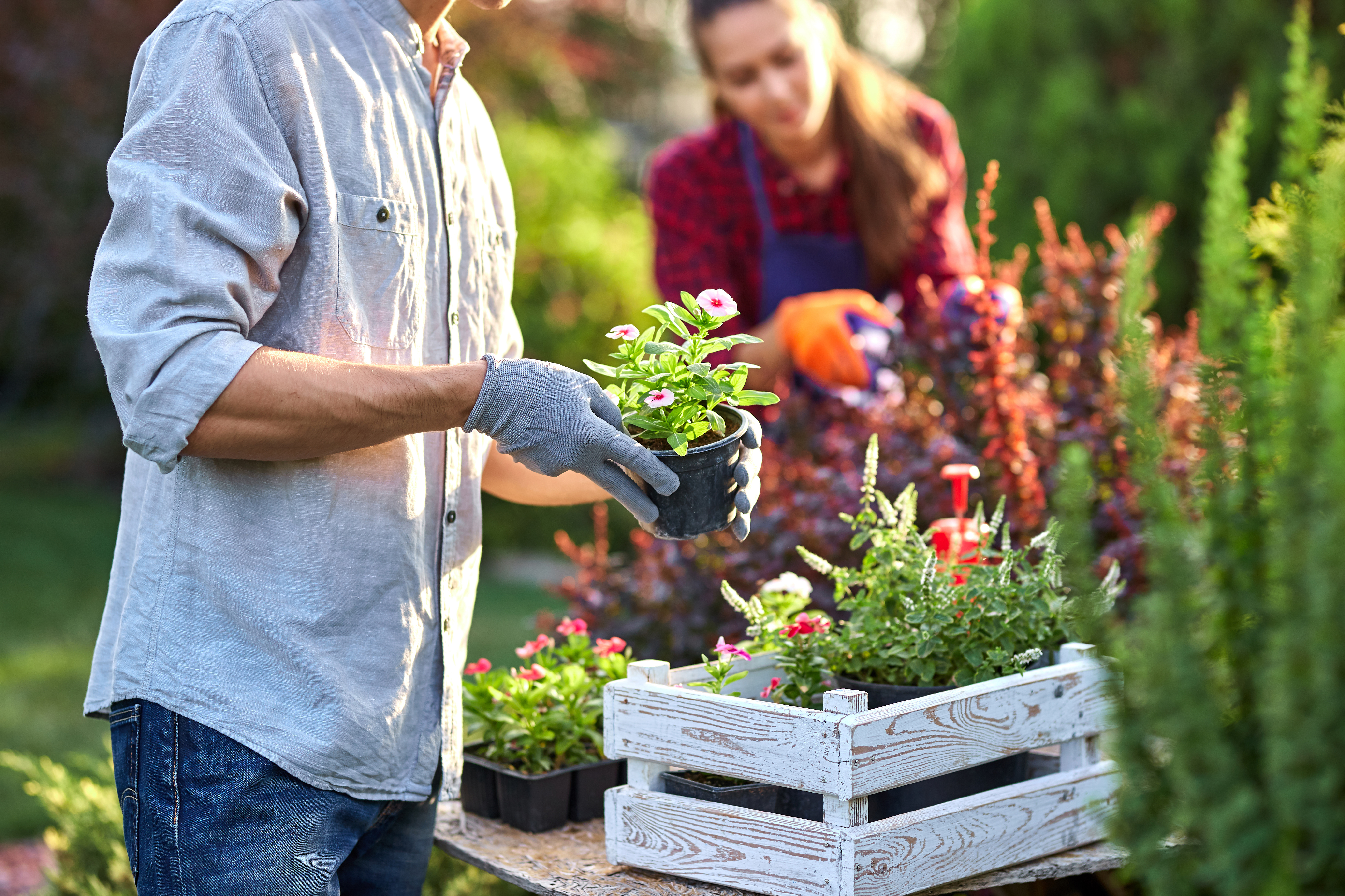 Man and woman gardening